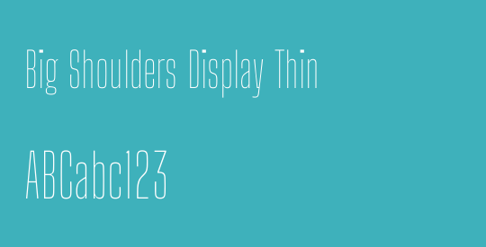 Big Shoulders Display Thin