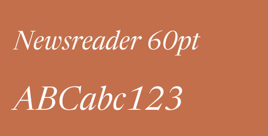 Newsreader 60pt