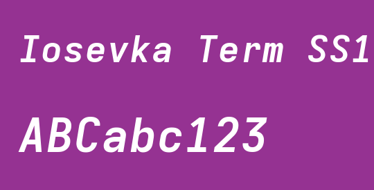 Iosevka Term SS11 ExObl