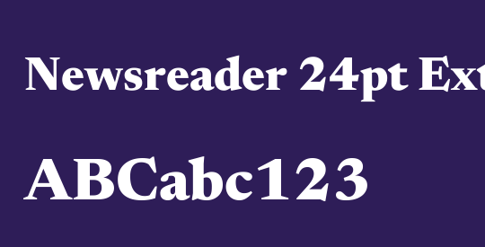 Newsreader 24pt ExtraBold