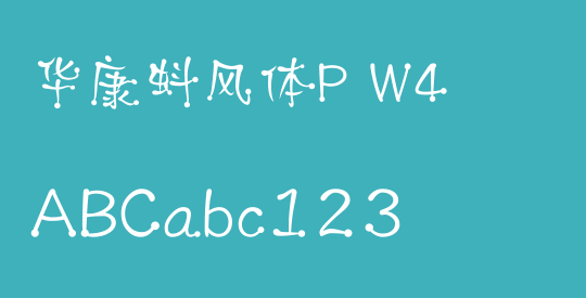 华康蚪风体P W4