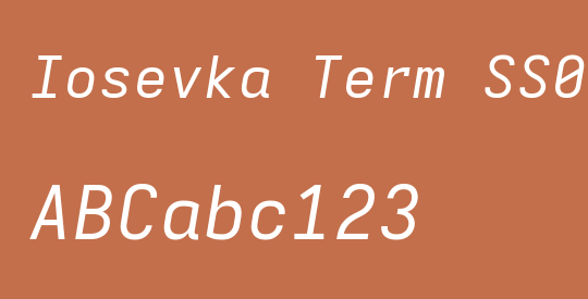 Iosevka Term SS07 ExObl