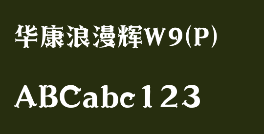 华康浪漫辉W9(P)