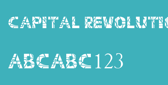 Capital Revolution