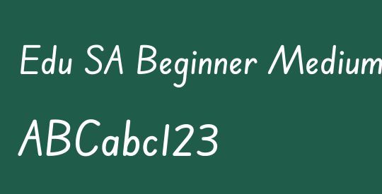 Edu SA Beginner Medium