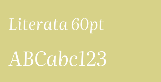 Literata 60pt