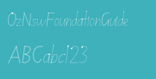 OzNswFoundationGuide