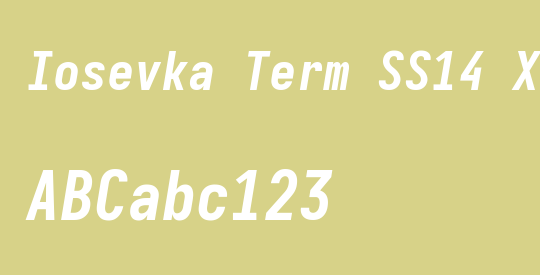 Iosevka Term SS14 XBdObl