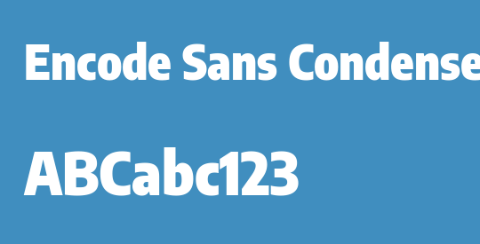 Encode Sans Condensed Black