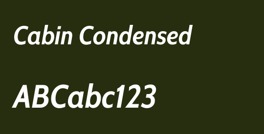 Cabin Condensed