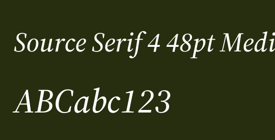 Source Serif 4 48pt Medium