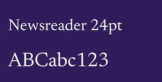 Newsreader 24pt