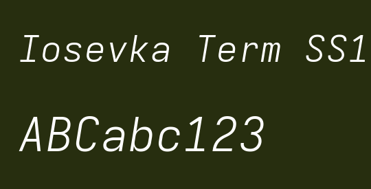 Iosevka Term SS10 LtExObl