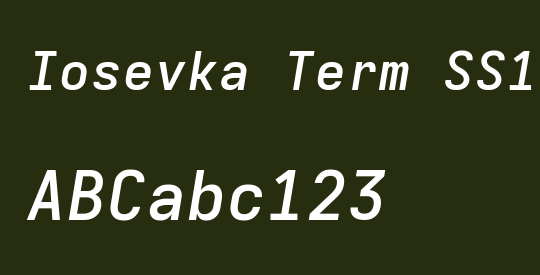 Iosevka Term SS14 SmBdExObl