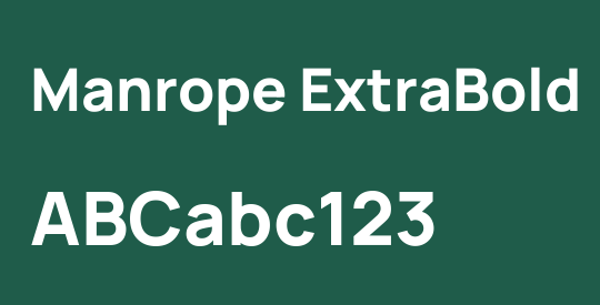 Manrope ExtraBold