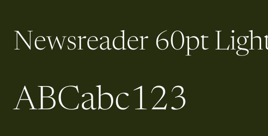 Newsreader 60pt Light