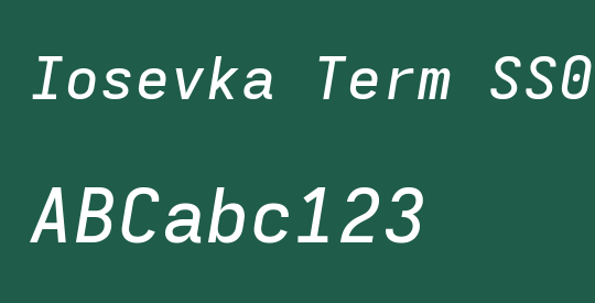 Iosevka Term SS06 MdEx