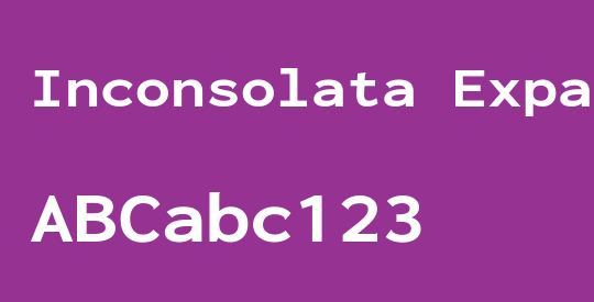 Inconsolata Expanded ExtraBold