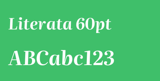 Literata 60pt