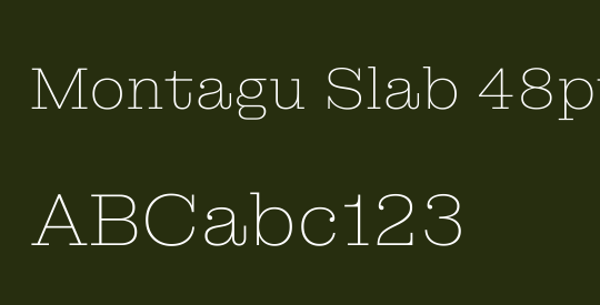 Montagu Slab 48pt Thin