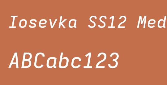 Iosevka SS12 Medium Extended