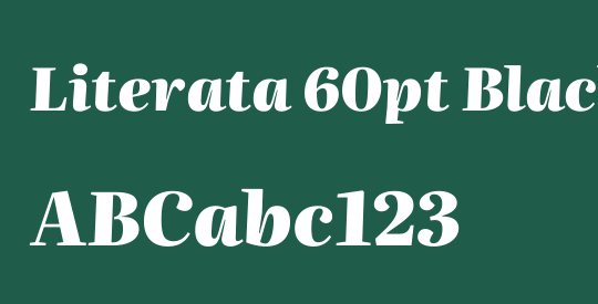 Literata 60pt Black