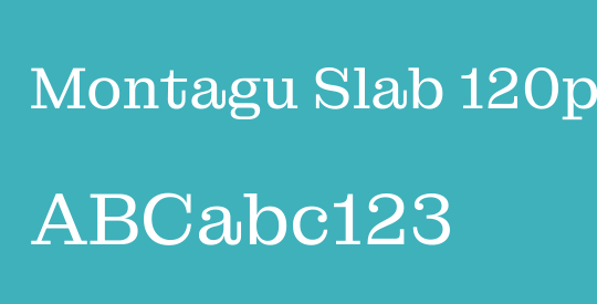 Montagu Slab 120pt
