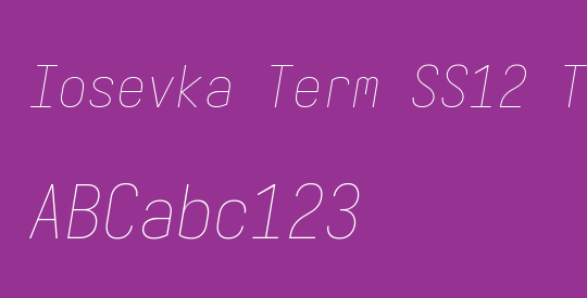 Iosevka Term SS12 Thin Oblique