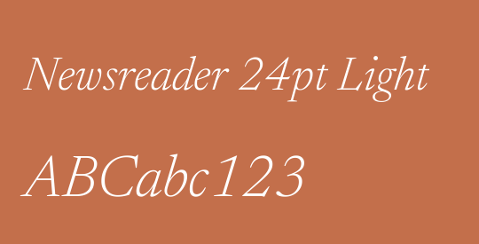 Newsreader 24pt Light