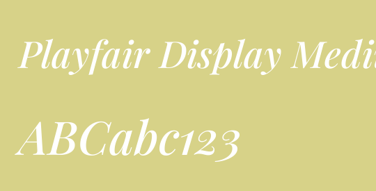 Playfair Display Medium