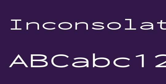 Inconsolata UltraExpanded