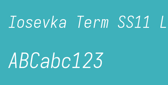 Iosevka Term SS11 LtObl