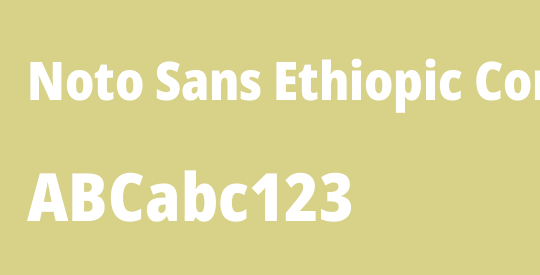 Noto Sans Ethiopic Condensed Black