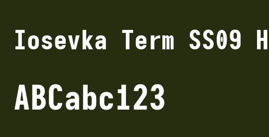 Iosevka Term SS09 Heavy
