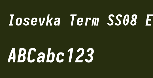 Iosevka Term SS08 Extrabold