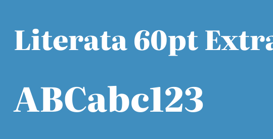 Literata 60pt ExtraBold
