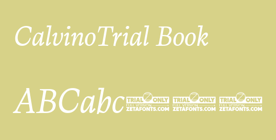 CalvinoTrial Book