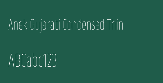 Anek Gujarati Condensed Thin