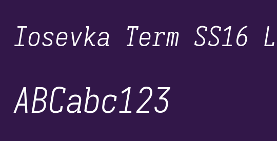 Iosevka Term SS16 LtObl