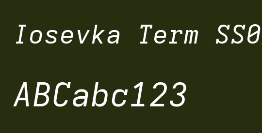 Iosevka Term SS02 ExObl