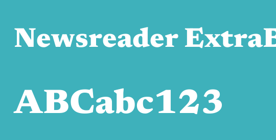Newsreader ExtraBold