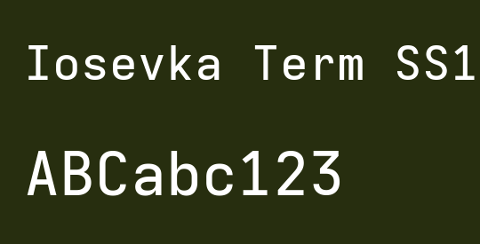 Iosevka Term SS11 MdEx