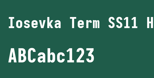 Iosevka Term SS11 Heavy