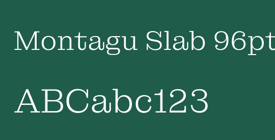 Montagu Slab 96pt Light