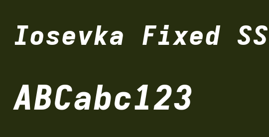 Iosevka Fixed SS04 HvExObl