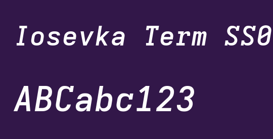 Iosevka Term SS02 SmBdExObl