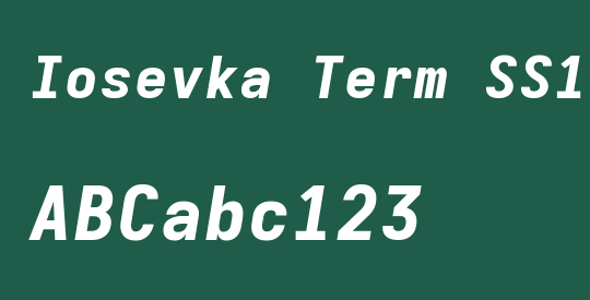 Iosevka Term SS11 HvExObl