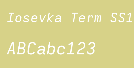 Iosevka Term SS13 Extended