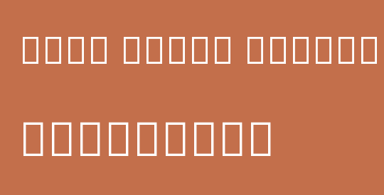 Noto Serif Tibetan Light