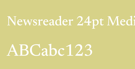 Newsreader 24pt Medium